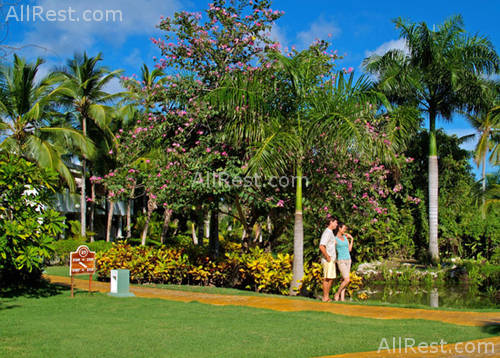 Melia Caribe Tropical 17